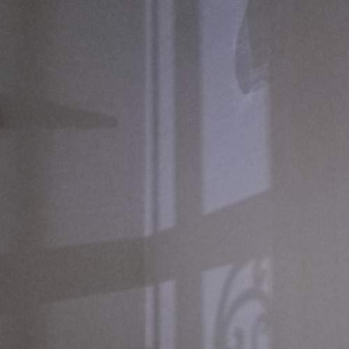 Photo #8494274