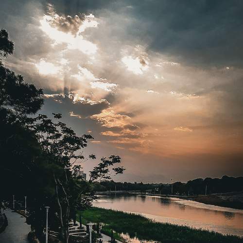 Photo #8494341