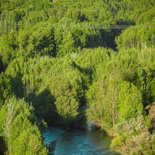 Photo #8494346