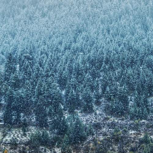 Photo #8494405