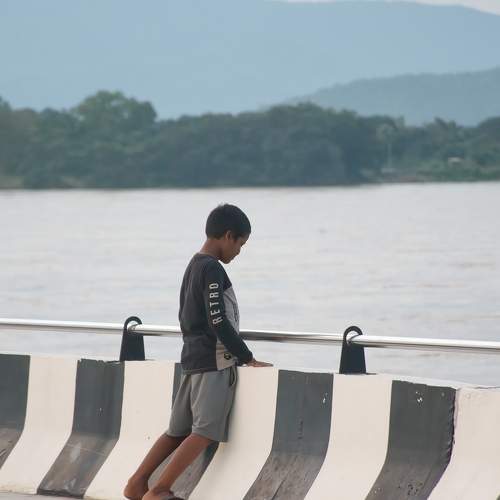 Photo #8494439