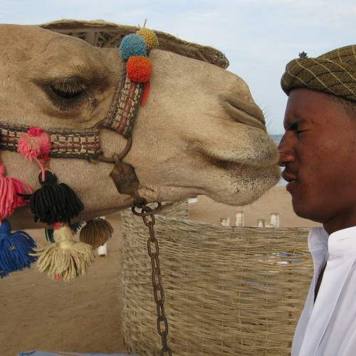 Photo #8494503