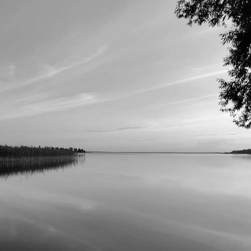 Фотография #8494552