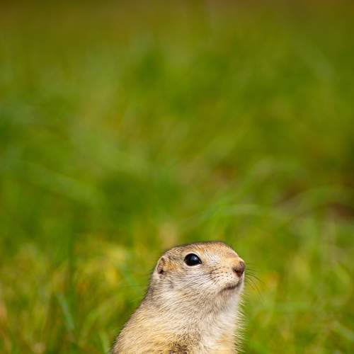 Photo #8494866