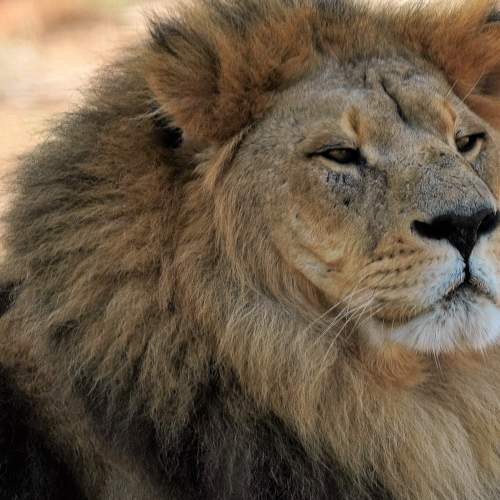 Photo #8494873