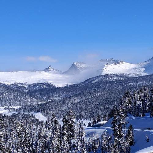 Photo #8494932