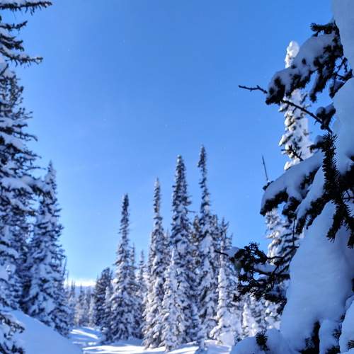Photo #8495032