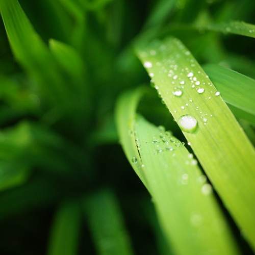 Photo #8495071