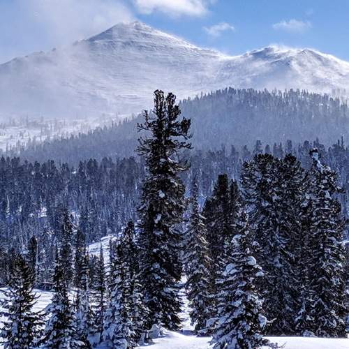 Photo #8495078