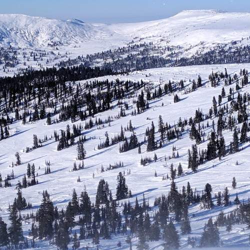 Photo #8495177