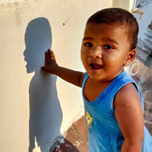 Photo #8495388