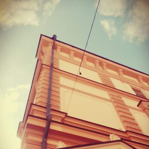 Photo #8495424