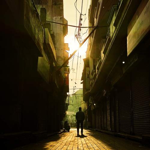 Photo #8495522