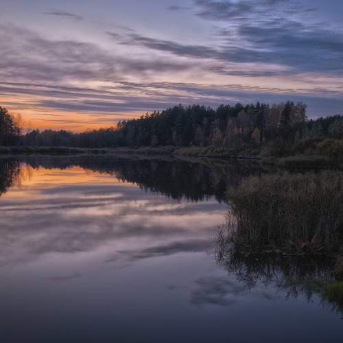 Photo #8495533