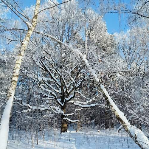 Photo #8495534
