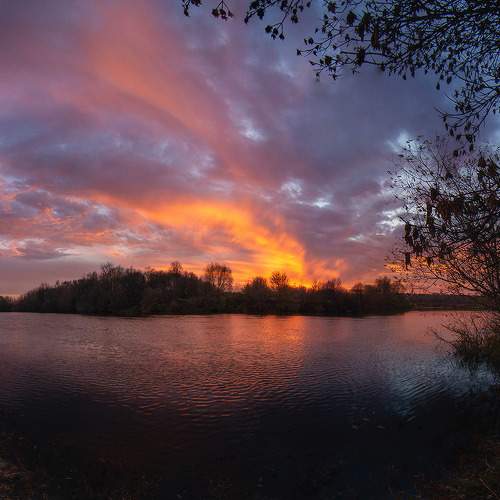 Photo #8495535