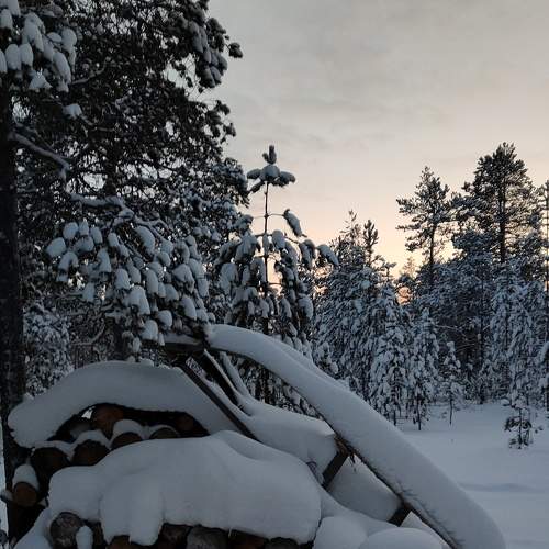 Photo #8495993