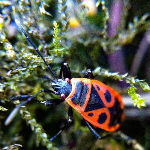 Photo #8496117