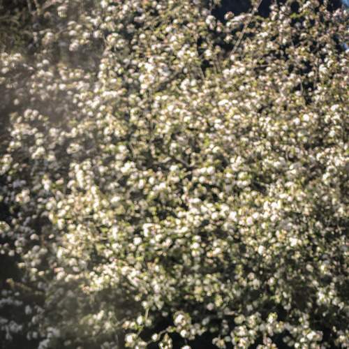 На обед!