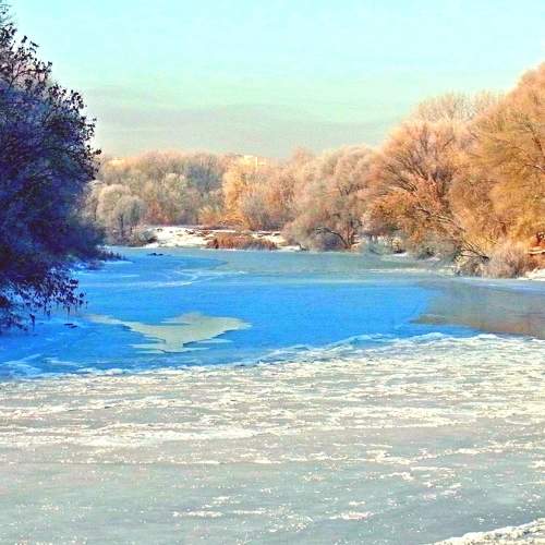 Photo #8496164