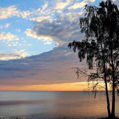 Photo #8496491