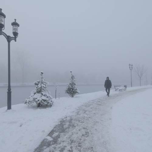 Photo #8496609