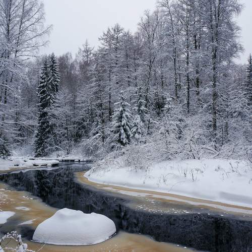 Photo #8496640