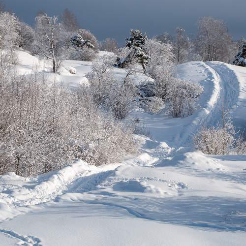 Photo #8496641