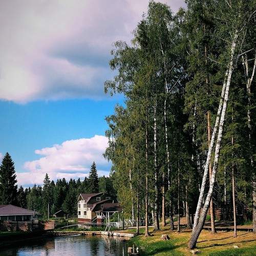 Photo #8497163