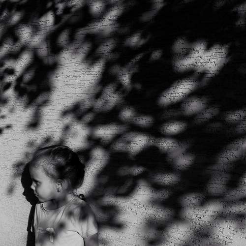 Photo #8497976