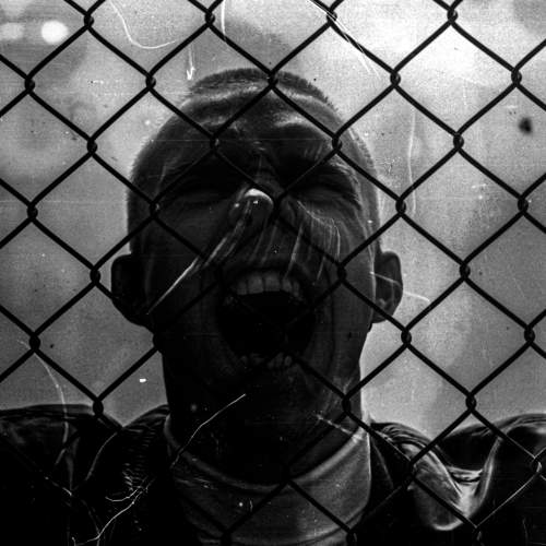 Photo #8498126