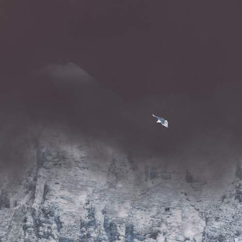 Photo #8498151