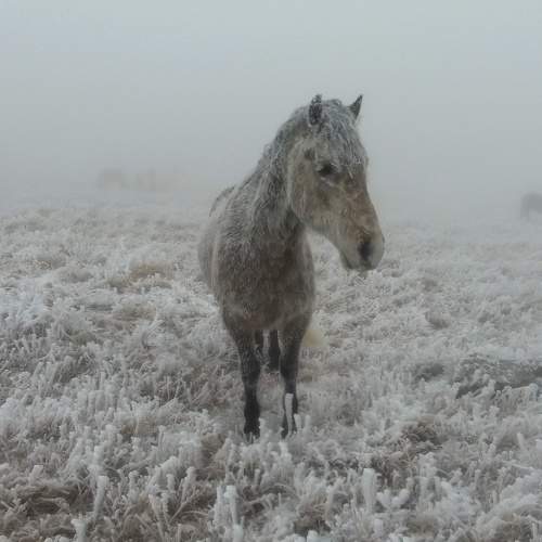 Photo #8498158