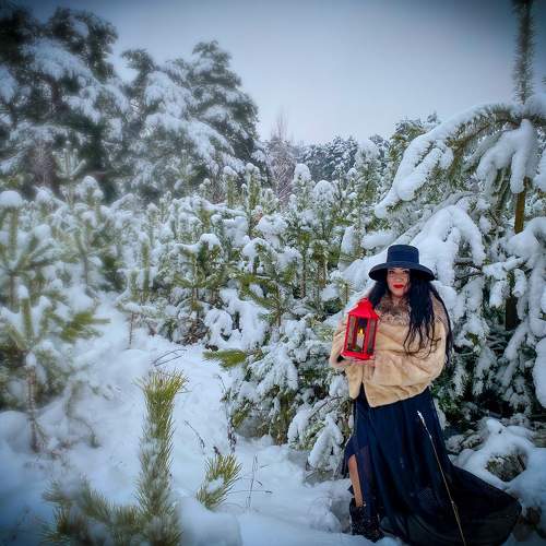 Photo #8498461