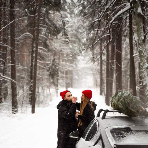 Photo #8498678