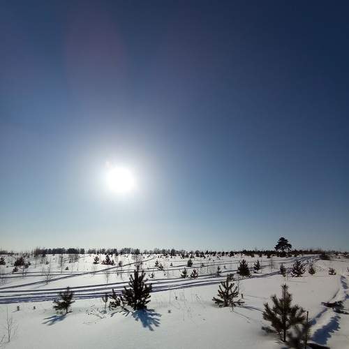 Photo #8498775