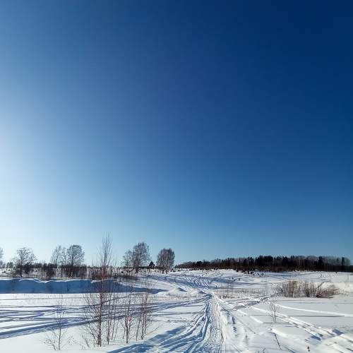 Photo #8498777