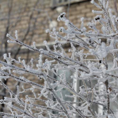 Photo #8498856