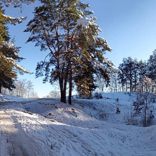 Photo #8499012