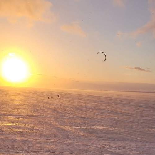 Photo #8499139