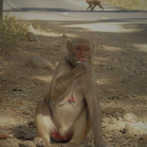 Photo #8499144