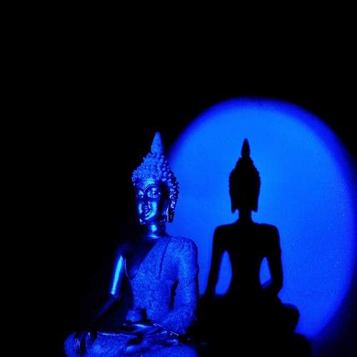 Photo #8499163
