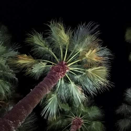 Photo #8499234