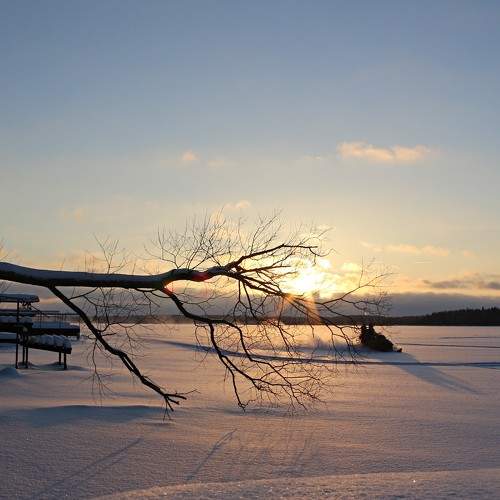 Photo #8499550
