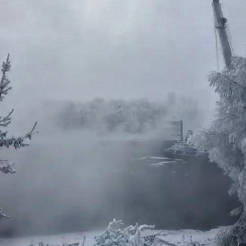 Photo #8499571