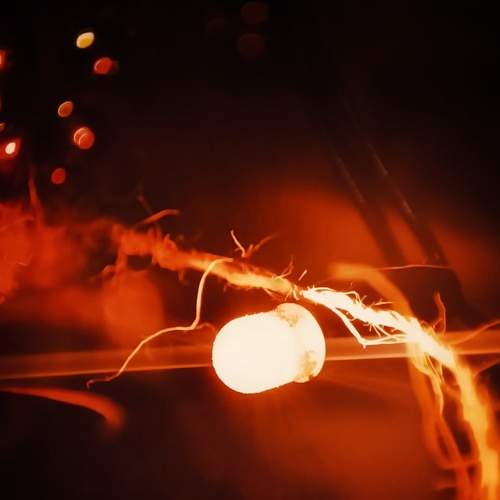 Photo #8499610