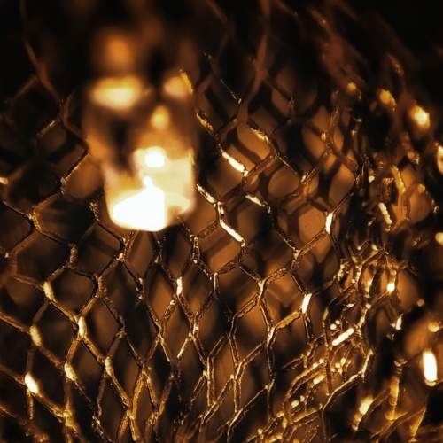 Photo #8499617