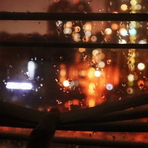 Photo #8499621