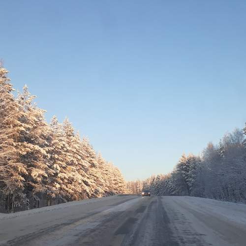 Photo #8499682