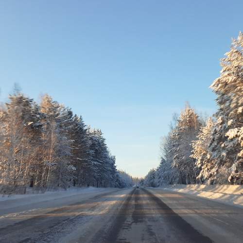 Photo #8499691